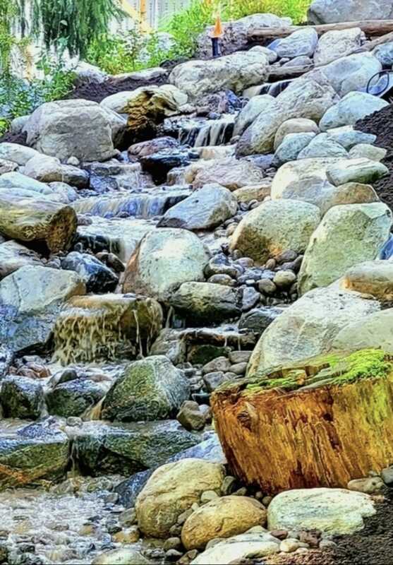image(7)