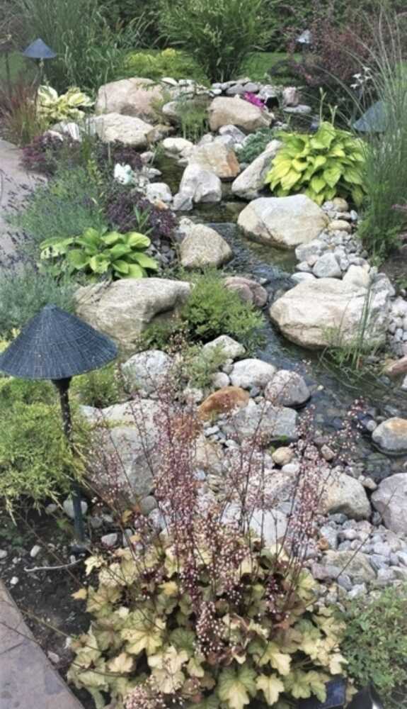 image(12)